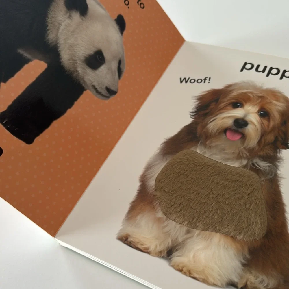 Series Books by Vision St. Publishing Adorable Animals  and Sea Animals